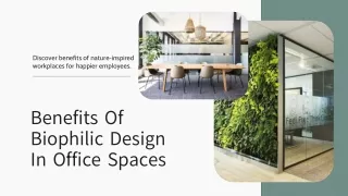 Benefits Of Biophilic Design In Office Spaces