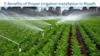 5 benefits of proper irrigation installation