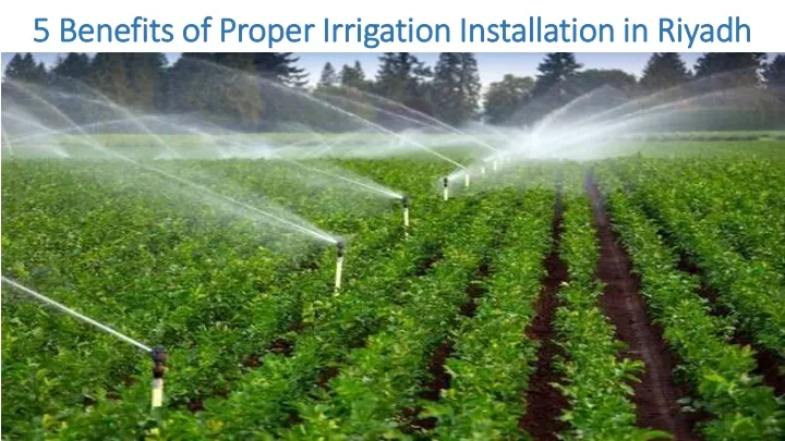 5 benefits of proper irrigation installation