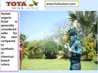 Enjoy Holi Festival 2024, Use Herbal Gulal powder safe for Skin and Kids