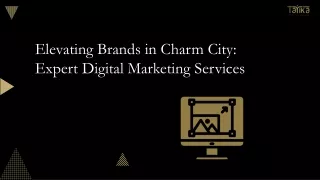 Elevating Brands in Charm City Expert Digital Marketing Services