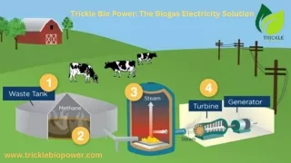 Powering Sustainability: Affordable Energy Solutions