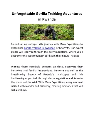 Unforgettable Gorilla Trekking Adventures in Rwanda