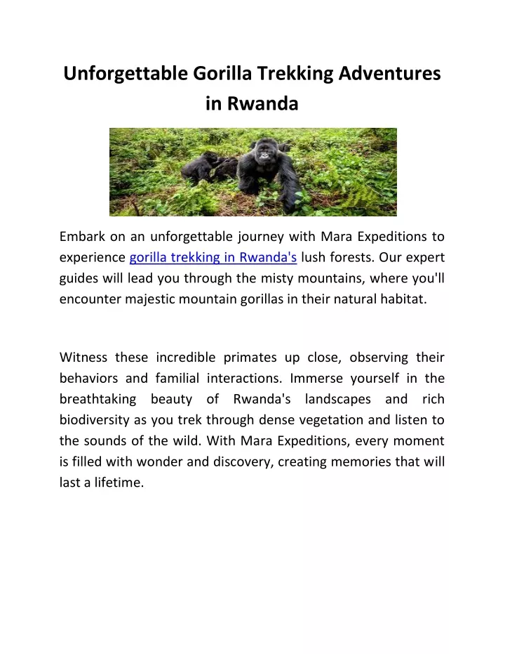 unforgettable gorilla trekking adventures