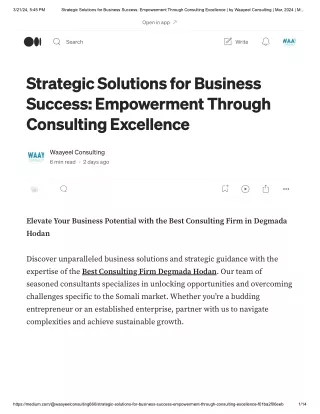 Strategic Solutions for Business Success_ Empowerment Through Consulting Excellence