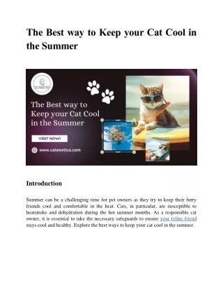 The Best way to Keep your Cat Cool in the Summer