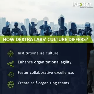 Dextra Labs - Organizational Culture and Benefits