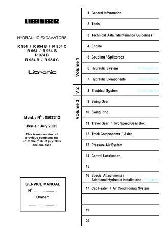 LIEBHERR R954 LITRONIC HYDRAULIC EXCAVATOR Service Repair Manual