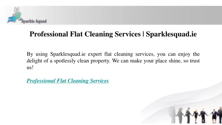 professional flat cleaning services sparklesquad