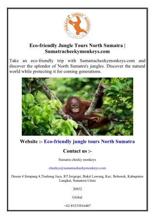 Eco-friendly Jungle Tours North Sumatra  Sumatracheekymonkeys.com