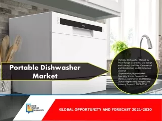 Portable Dishwasher Market Size, Share, Growth