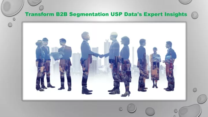 transform b2b segmentation usp data s expert