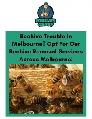Beehive Trouble in Melbourne Opt For Our Beehive Removal Services Across Melbourne!