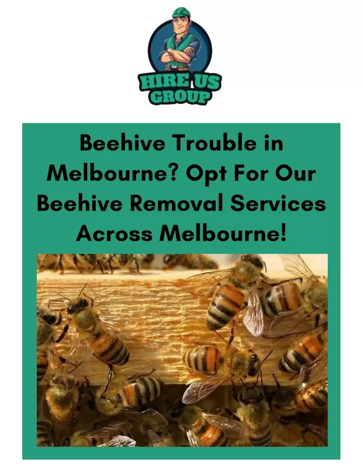 beehive trouble in melbourne opt for our beehive