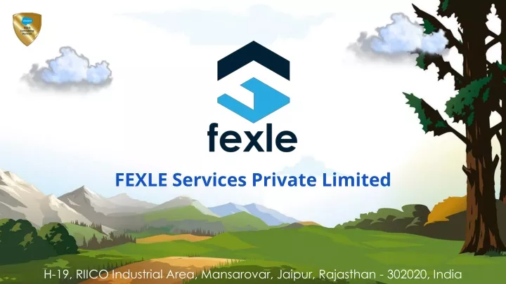 fexle services private limited