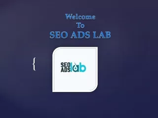 Affordable SEO Service | Professional SEO Consulting in Whanganui | SEO Ads Lab