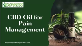 CBD Oil for Pain Management