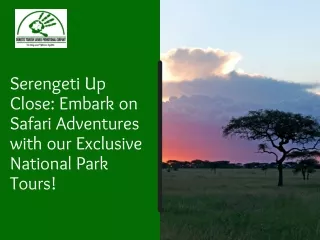 Serengeti Up Close Embark on Safari Adventures with our Exclusive National Park Tours!