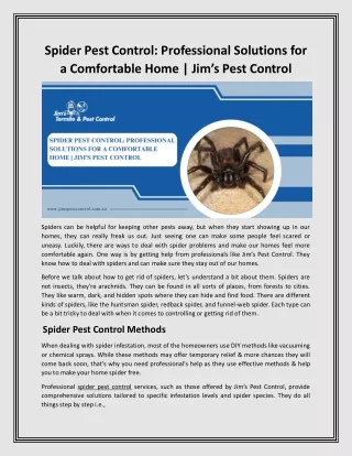 Spider Pest Control Professional Solutions for a Comfortable Home  Jim’s Pest Control