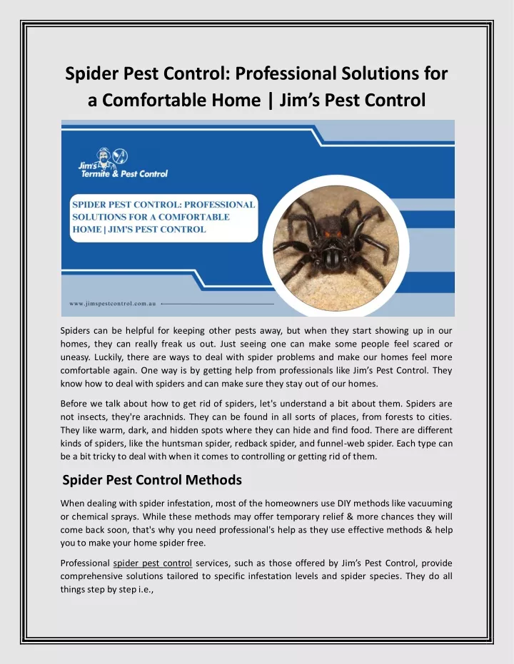 spider pest control professional solutions