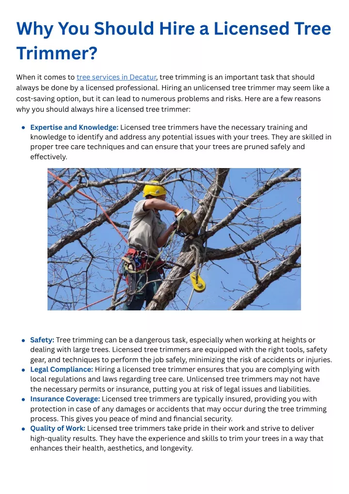 why you should hire a licensed tree trimmer