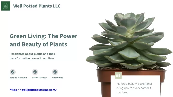 well potted plants llc