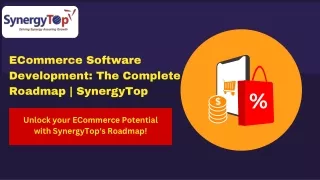 Custom Ecommerce Development - SynergyTop