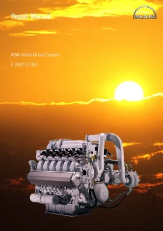 MAN INDUSTRIAL GAS ENGINE E 2842 LE 302 Service Repair Manual