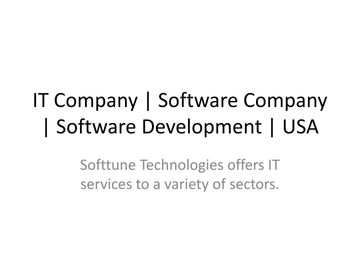 it company software company software development usa