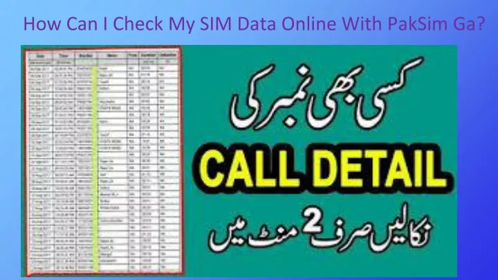 how can i check my sim data online with paksim ga