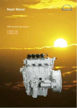 MAN Industrial Gas Engine E302 Service Repair Manual