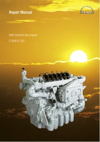 MAN INDUSTRIAL GAS ENGINE E0836 LE202 Service Repair Manual