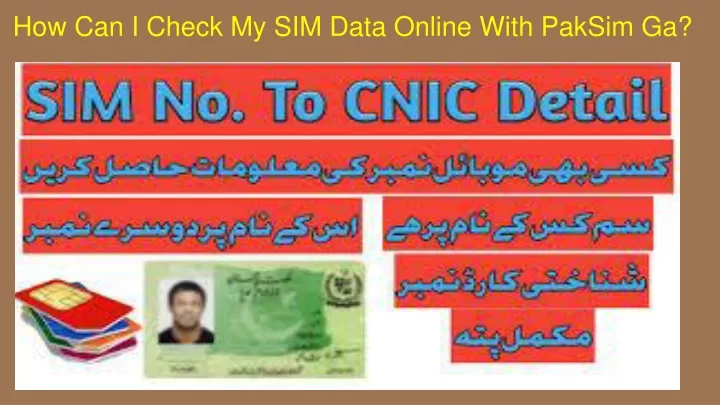 how can i check my sim data online with paksim ga