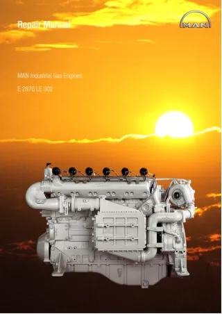 MAN Industrial Gas Engine E2876 LE302 Service Repair Manual