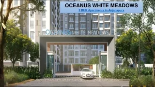 2 BHK Apartments in Anjanapura - Oceanus White Meadows Review