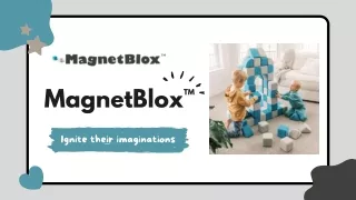 Large Building Blocks | MagnetBlox