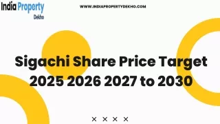 Sigachi Share Price Target 2025 2026 2027 to 2030