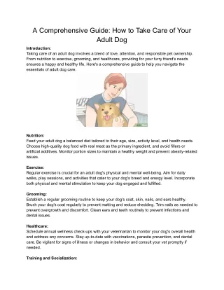 A Comprehensive Guide_ How to Take Care of Your Adult Dog