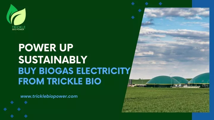 power up sustainably buy biogas electricity from