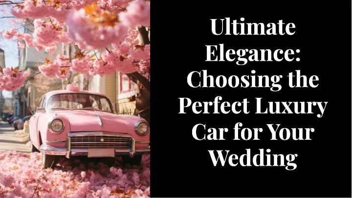 ultimate elegance choosing the perfect luxury