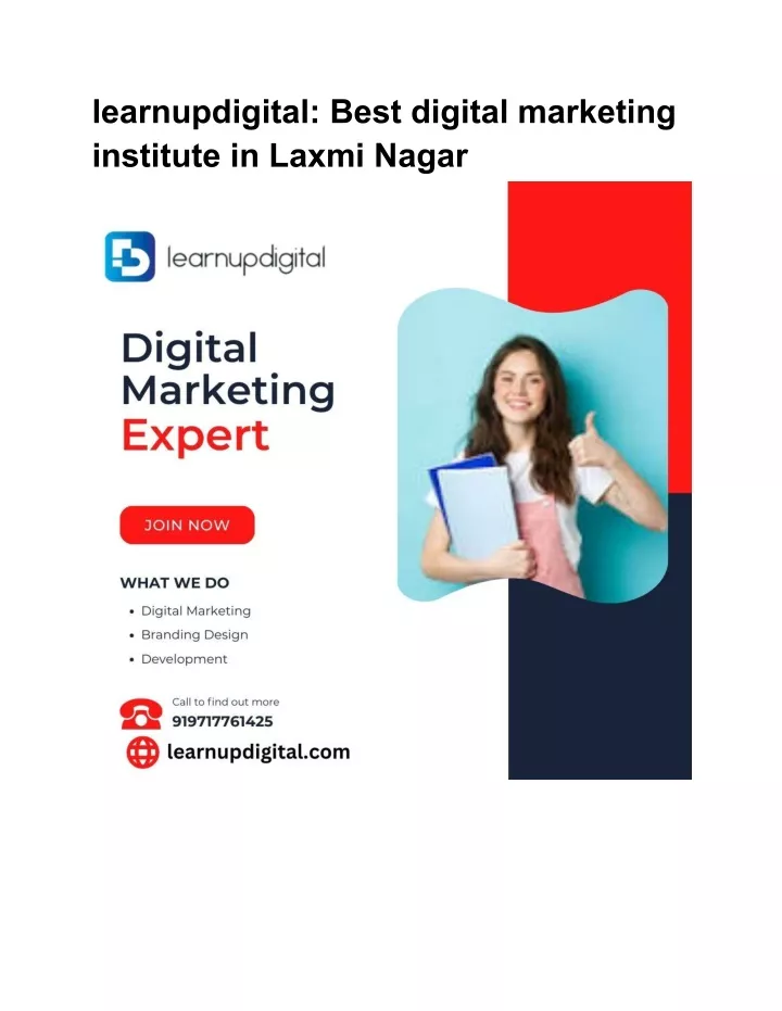 learnupdigital best digital marketing institute