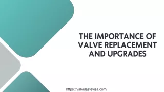 THE IMPORTANCE OF VALVE REPLACEMENT AND UPGRADES