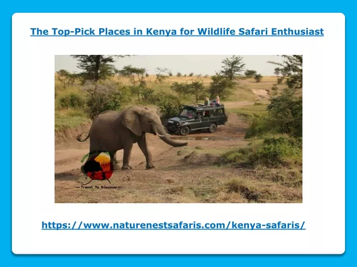 the top pick places in kenya for wildlife safari