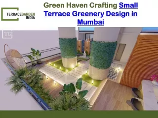 Green Haven Crafting Small Terrace Greenery Design in Mumbai