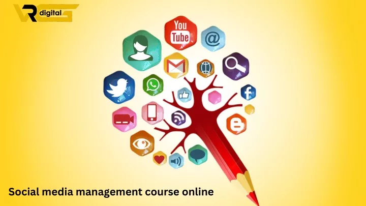 social media management course online