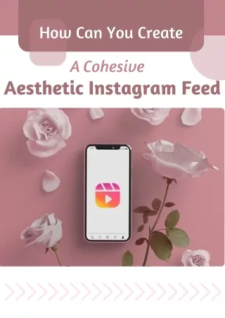 How Can You Create A Cohesive Aesthetic Instagram Feed