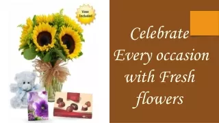 Choose from the widest Flowers Varieties delivered on the same day