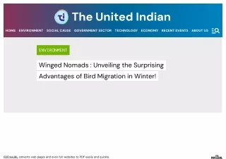 Advantages Of Bird Migration