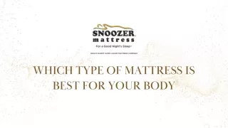 Purchase Ultra Plush Mattress | Snoozer Mattress