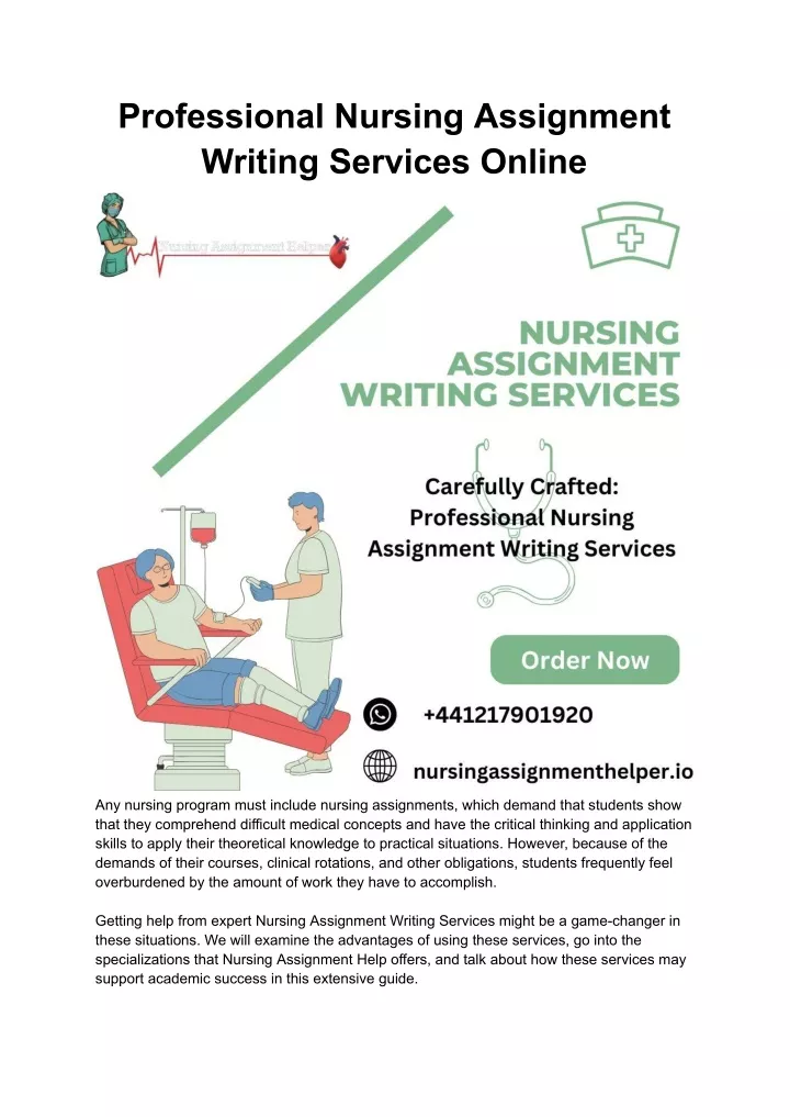 professional nursing assignment writing services